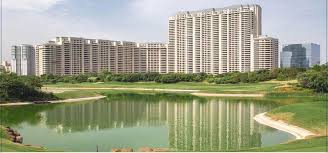 DLF Arbour